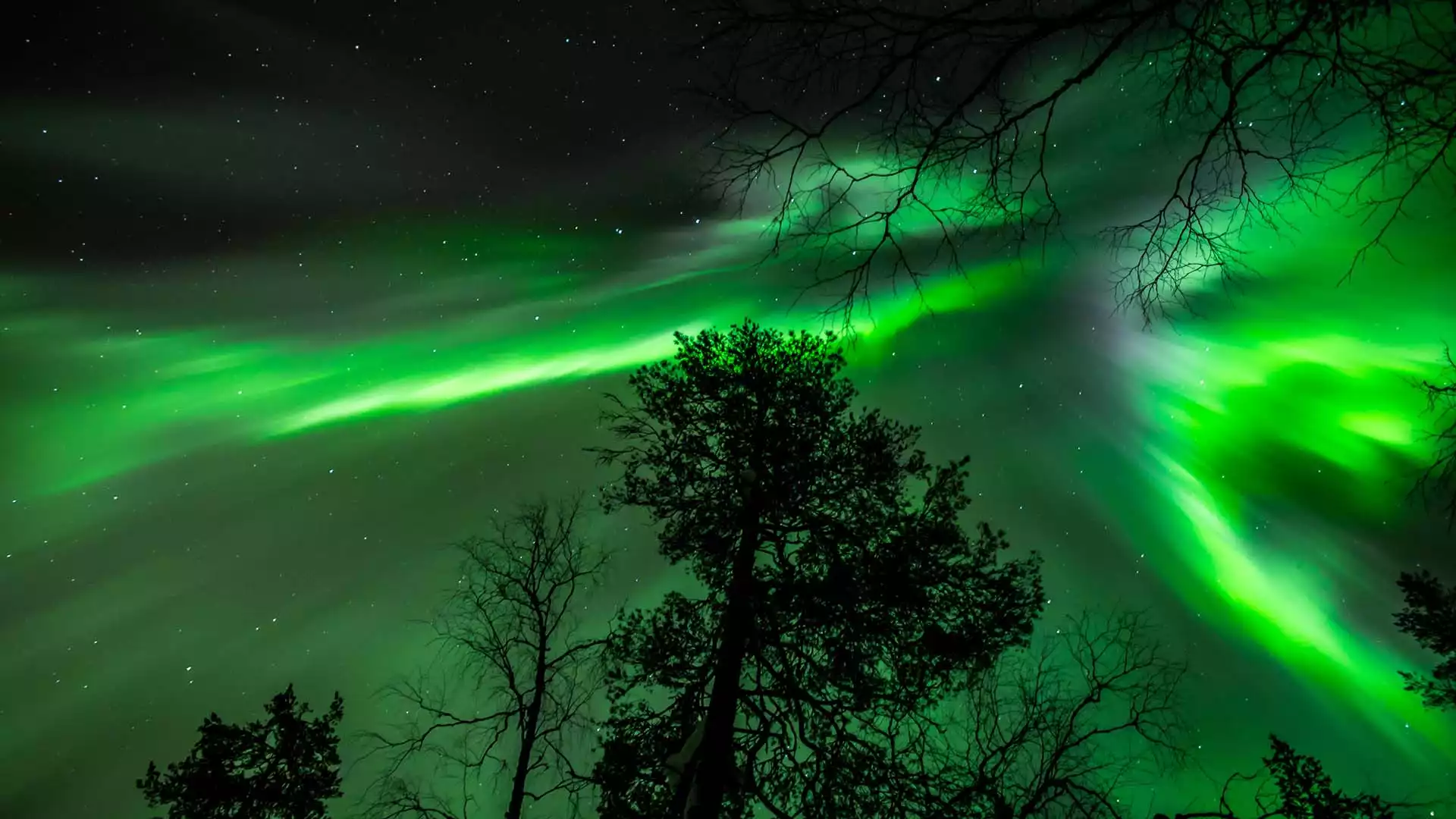 Vrije dag in Pyhä-Luosto Nationaal Park