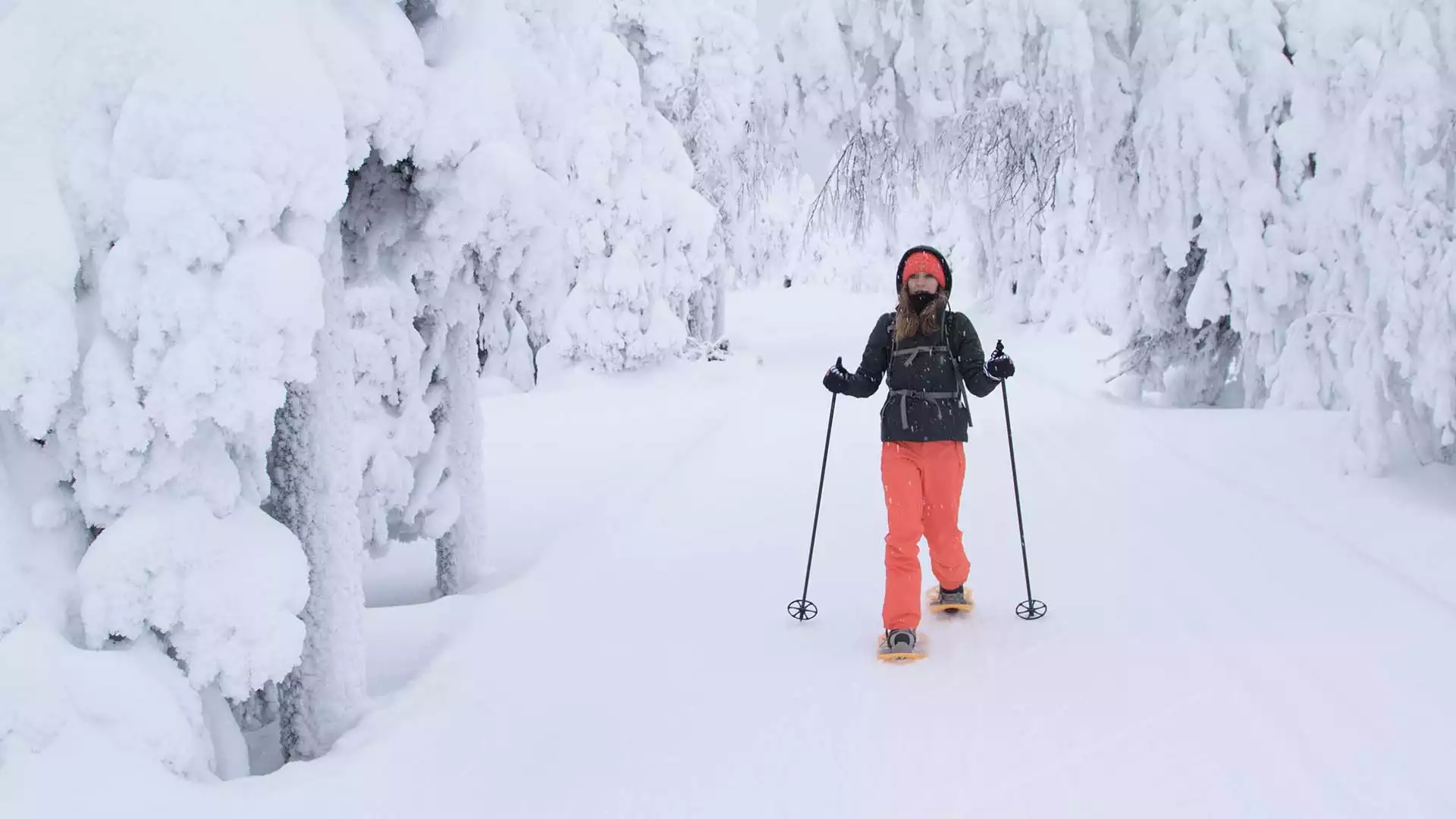 Natuurfotografie op sneeuwschoenen