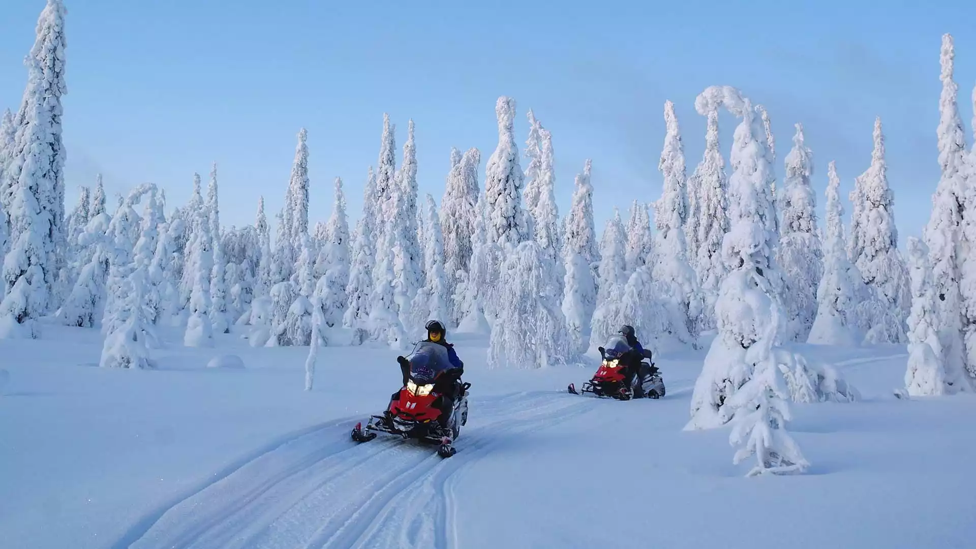 IJsvissen met sneeuwscooters