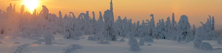 meer-winterbelevenissen-categorie