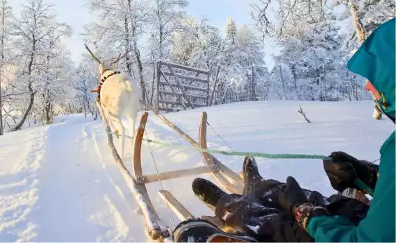 Betoverend Zweeds Lapland